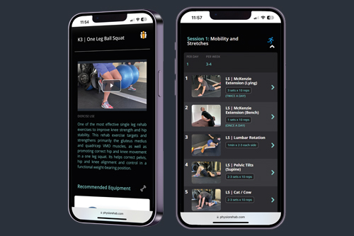 Online Exercise Rehab Programs - Physio Fitness