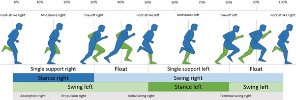 THE RUNNING CYCLE