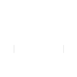 F2F + ONLINE COURSES